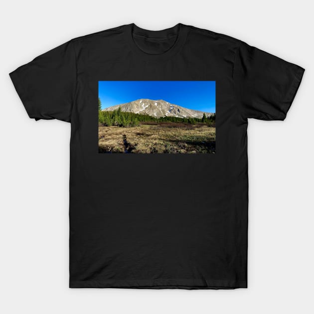 Colorado Mountains Photography T-Shirt by Hellbender Creations